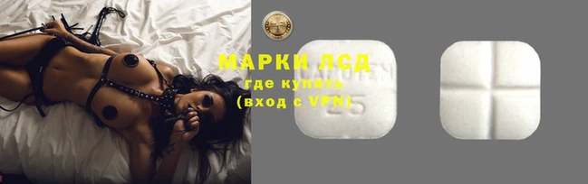 шишки Липки